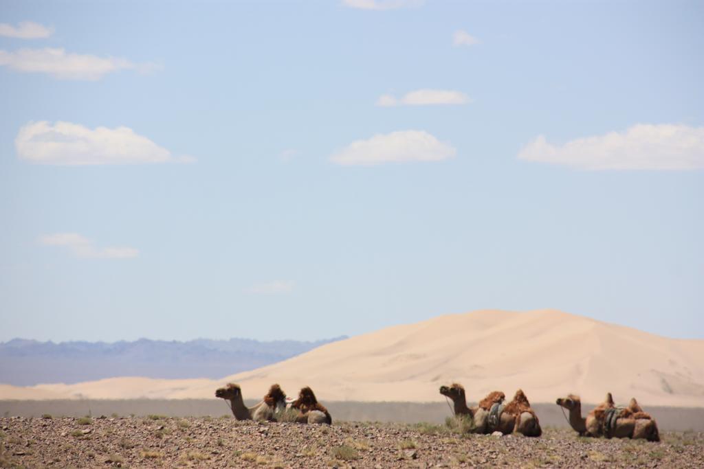 Golden Gobi Hostel & Tours Ulan Batur Dış mekan fotoğraf