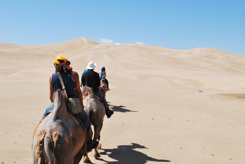 Golden Gobi Hostel & Tours Ulan Batur Dış mekan fotoğraf